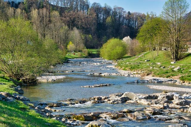 7. Cena a přínos: Zhodnocení investice do motorového a bezmotorového běžeckého pásu z hlediska cenové hladiny a výkonu