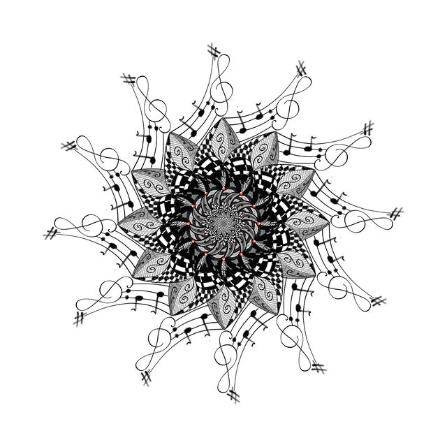 Základy cvičení na trampolíně: Jak začít a co očekávat