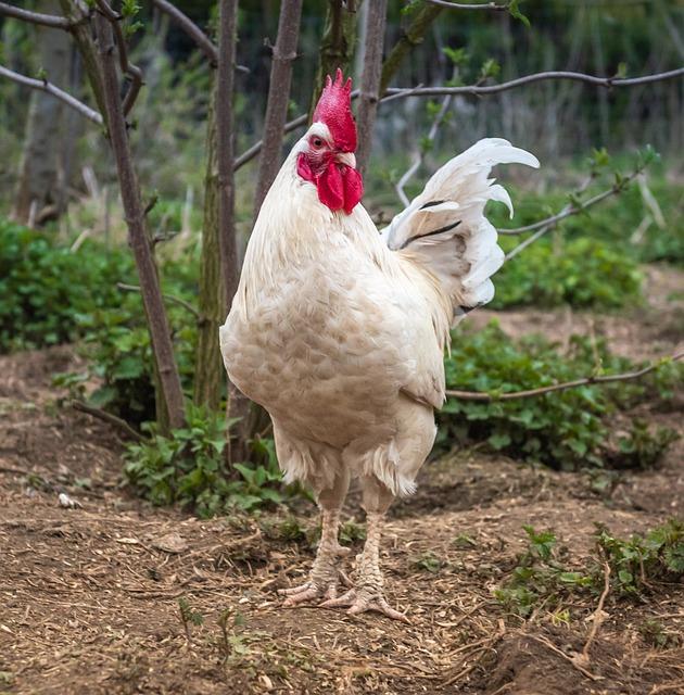 Vhodné cvičební rutiny na trampolíně: Plánování a variace