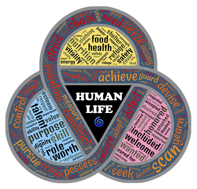 8. Jak přizpůsobit domácí kruhový trénink na vršek těla podle individuálních potřeb každého cvičence