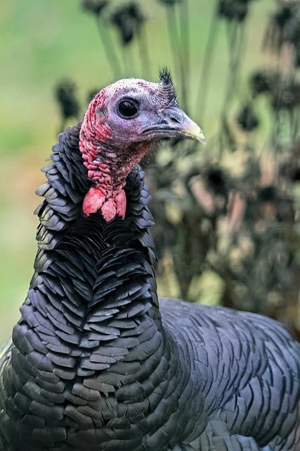 Jaké jsou výhody Kruhového tréninku na kladkách?