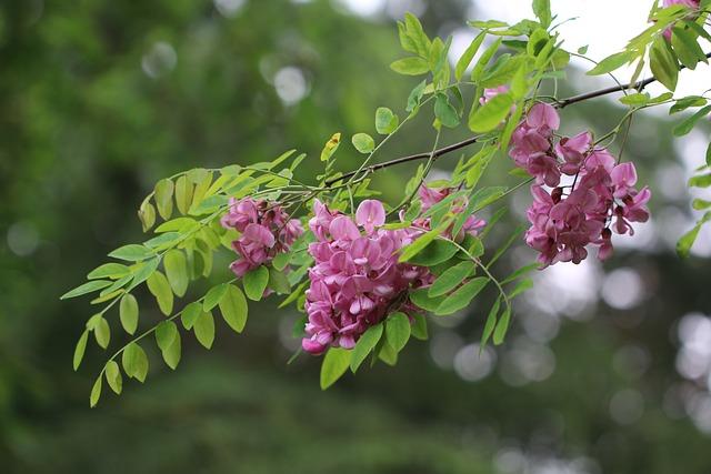 Co nabízí kruhový trénink v Opavě pro každého fitness nadšence
