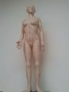 Teplická akupunktura – čínská medicína pro krásu i zdraví