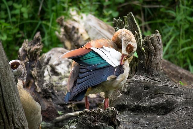 Důkladná péče o tělo po akupunktuře: Co dělat a co nedělat