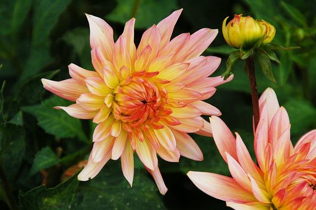 Malíček a jeho spojení s reflexologií