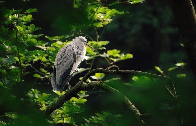 Jak dlouho trvají výsledky po akupunkturální léčbě?