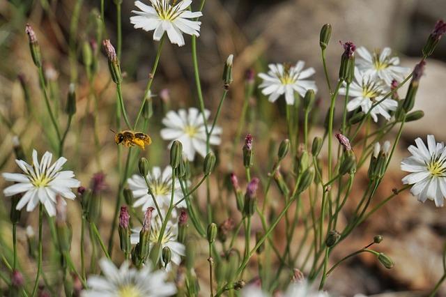 Jaká cvičení a protahování mohou pomoci při bolesti v pravé pateři