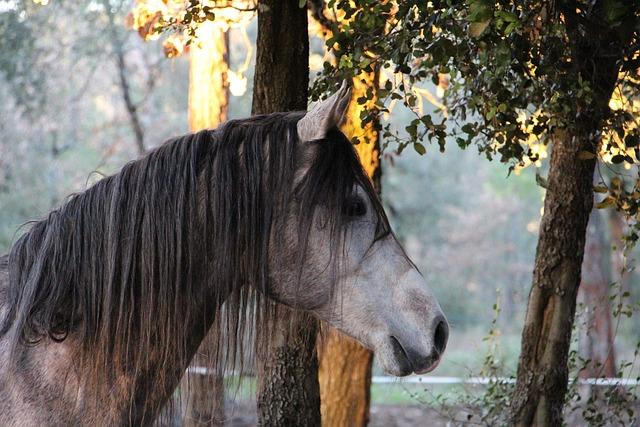 - Co by měla pacientka vědět před zahájením léčby akupunkturou?