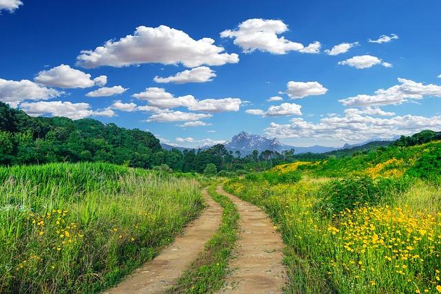 Jakým způsobem akupunktura pomáhá vyvážit hormony?