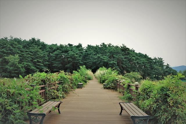 Jakým způsobem akupresurní koule přispívají k celkovému zdraví