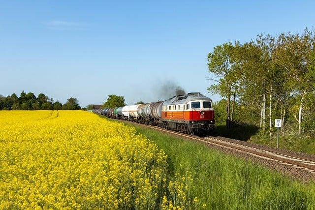- Specifické terapie a metody, které pacienti vřele doporučují